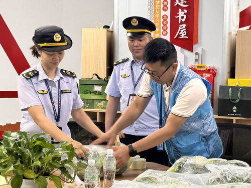 廣西龍勝“你點我檢” 科技賦能校園餐飲管理，守護學生舌尖安全